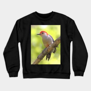 Red bellied woodpecker Crewneck Sweatshirt